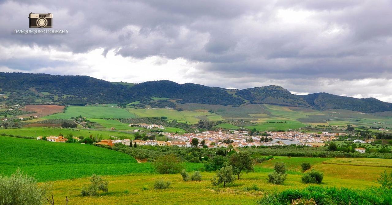 Casa El Paseo Villa Arriate Dış mekan fotoğraf